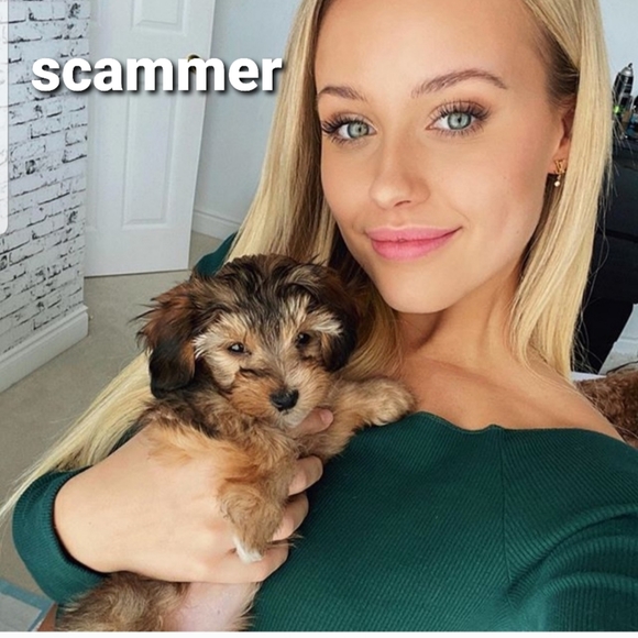 Gucci Marmont Scam - Picture 8 of 15